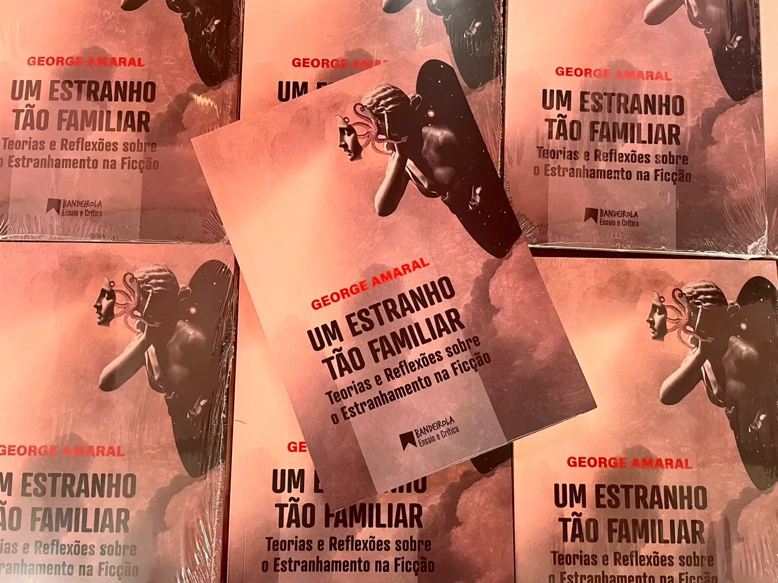 CapaDetalhes Um Estranho (12)