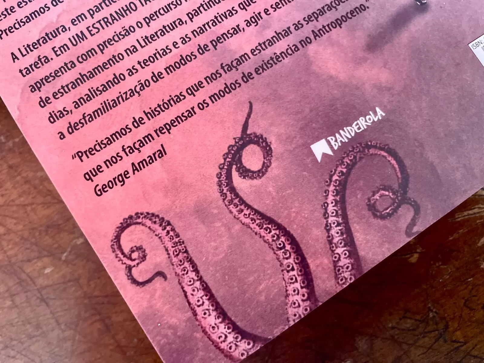 CapaDetalhes Um Estranho (2)