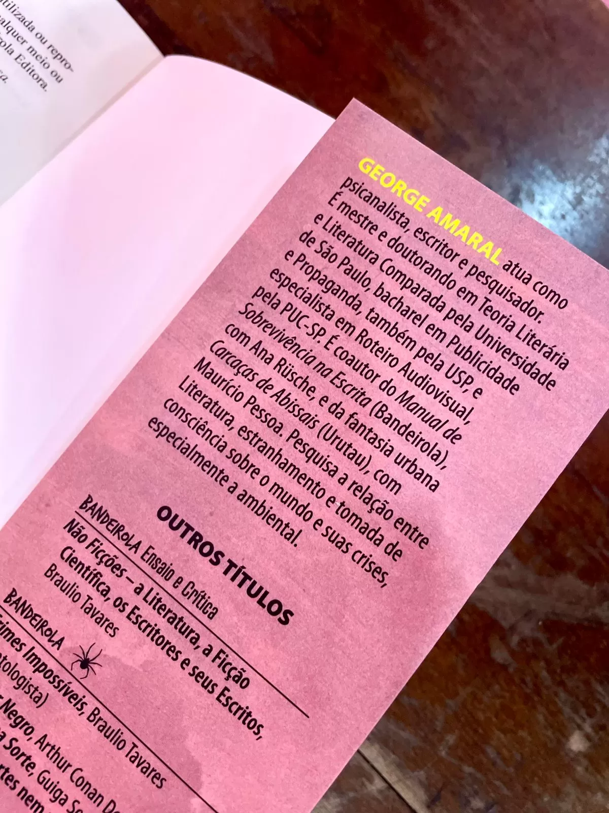 CapaDetalhes Um Estranho (4)