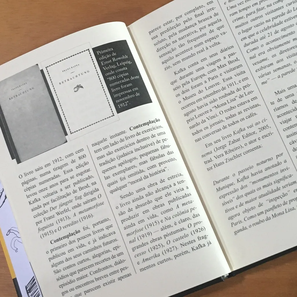 CONTEMPLAÇÃO - Imagem 10