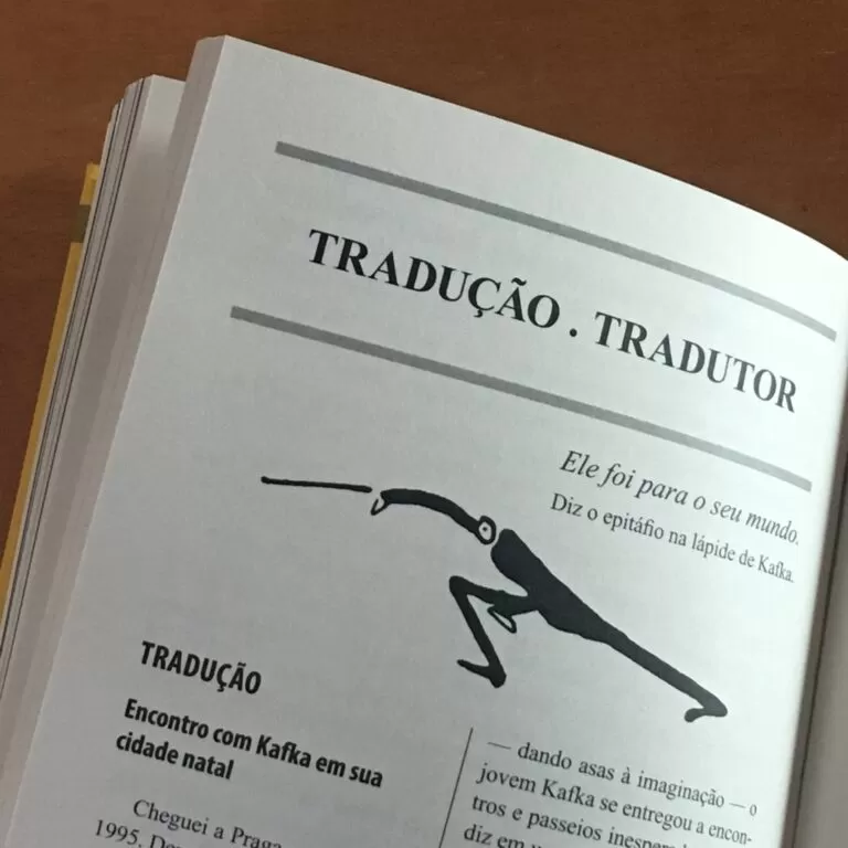 CONTEMPLAÇÃO - Imagem 11