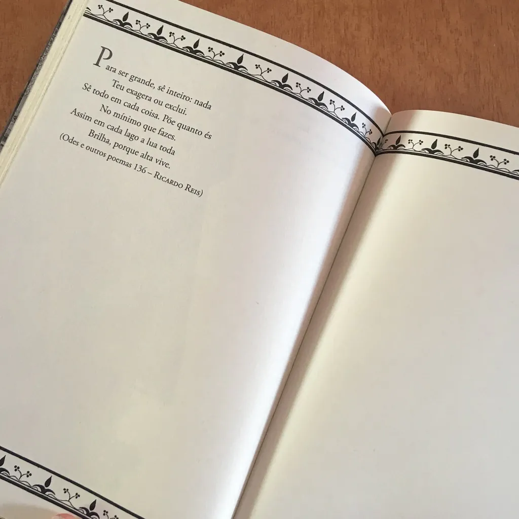 EU E FERNANDO PESSOA - Imagem 9