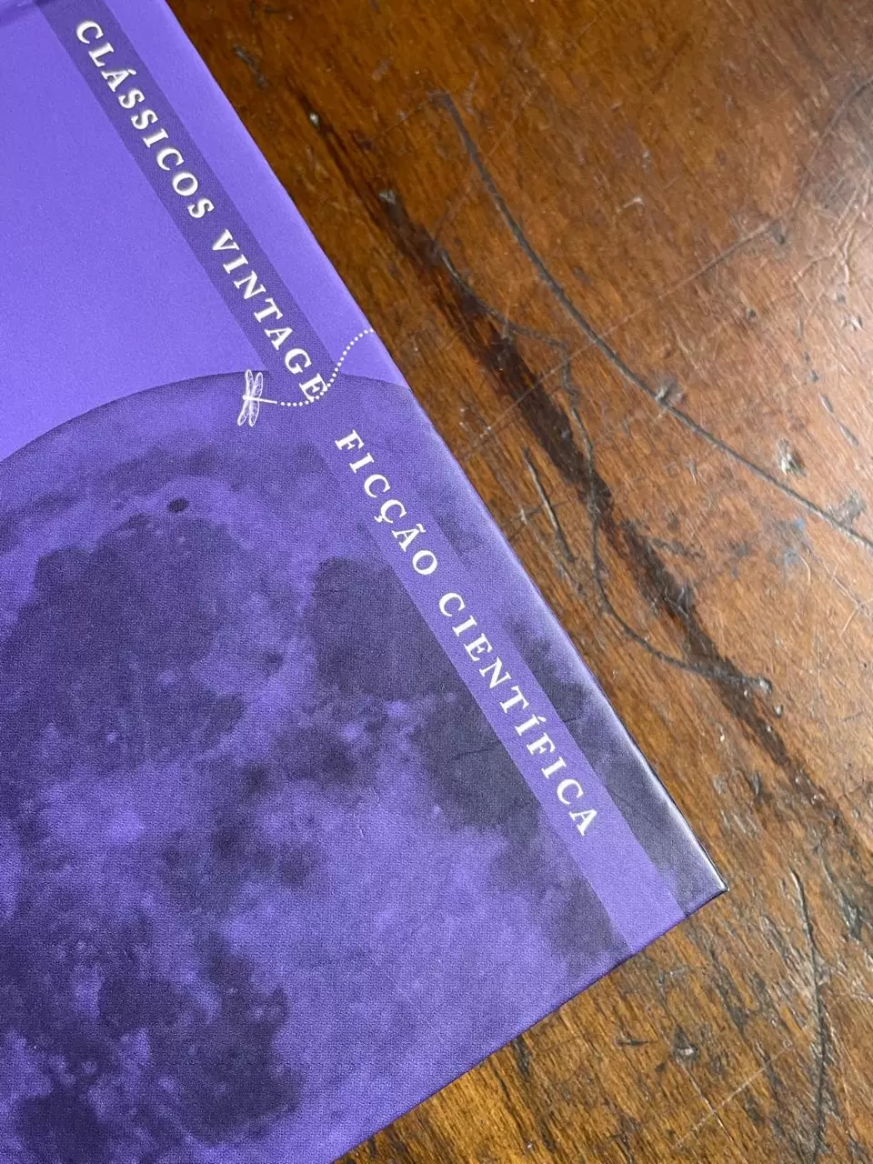 WhatsApp Image 2026 01 06 at 22.22.45 (1)